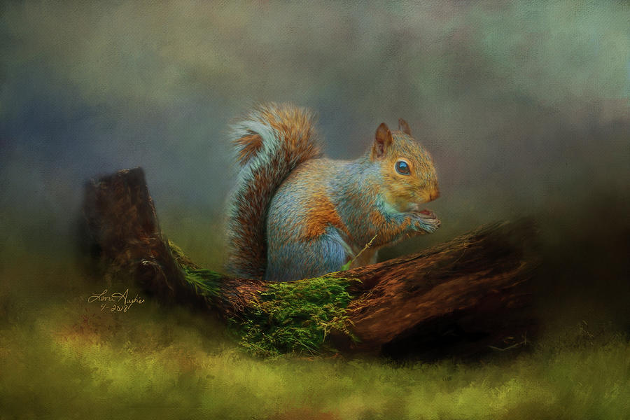 Squirrel Digital Art by Lena Auxier