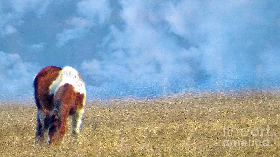 Grazing Wild Pony #1 Photograph by Dawn Gari
