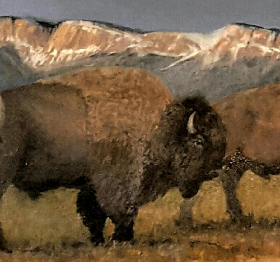 Great American Bison #1 Painting by Jessica Anne Thomas