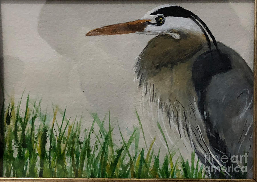 Great Blue Heron by Donald Paczynski Great Blue Heron by Donald Paczynski