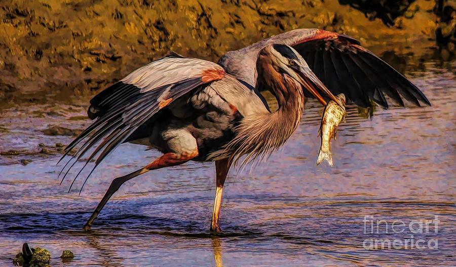 Great Blue Heron With Fish #1 Photograph by Paulette Thomas - Fine Art ...