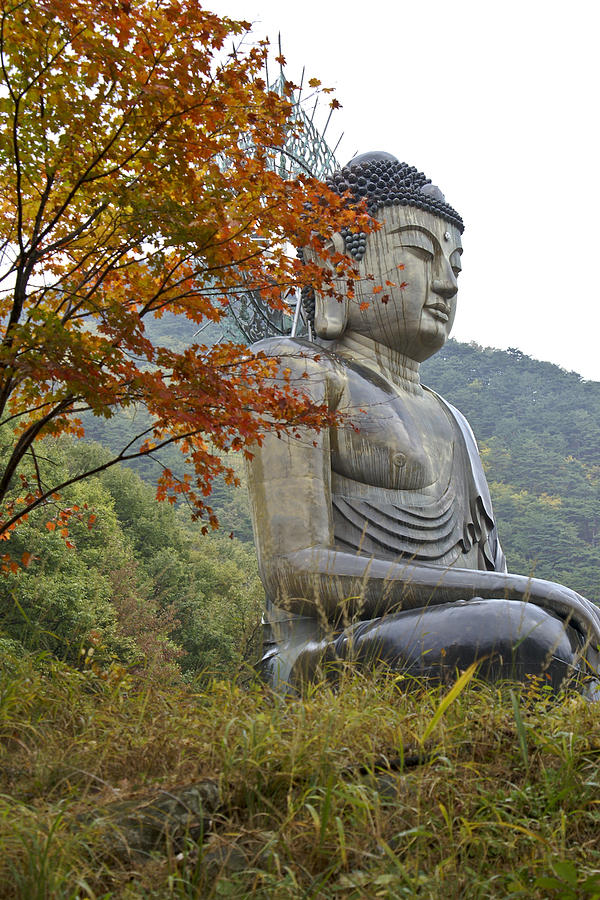 Great Buddha in Autumn #1 Photograph by Michele Burgess