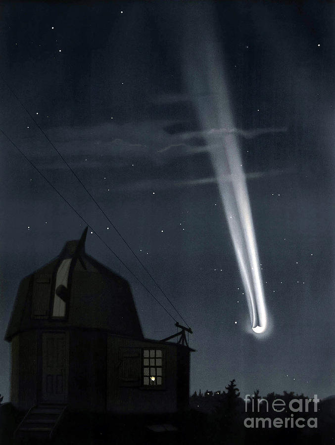 Great Comet Of 1881 #1 Photograph by Science Source