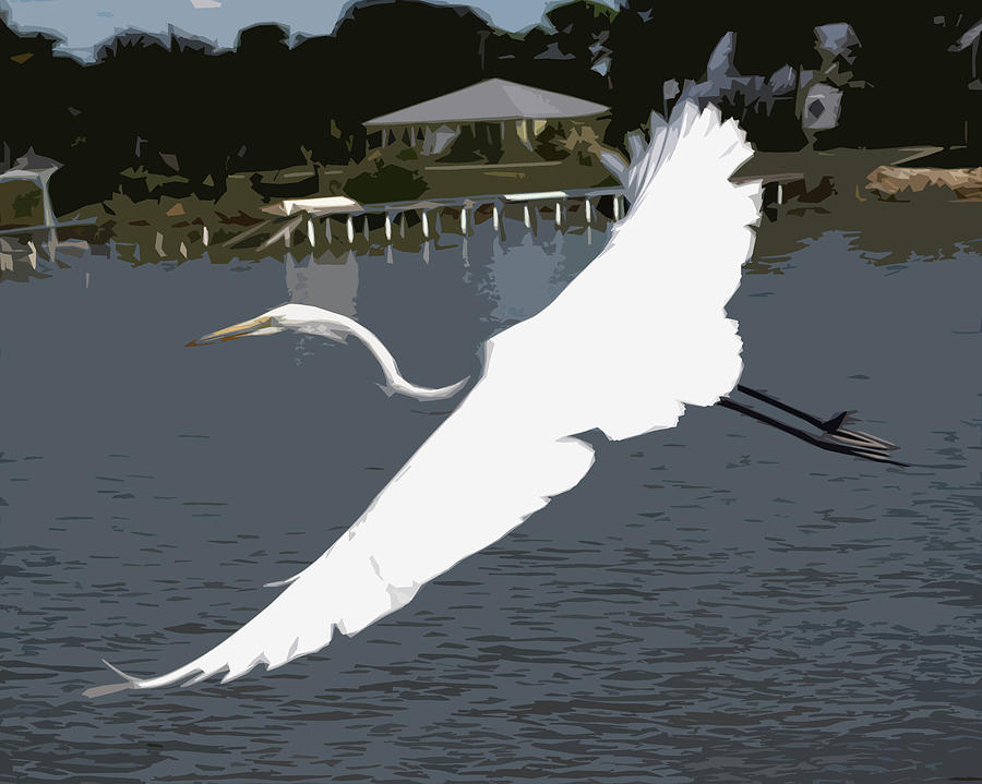 Egret Painting - Great Egret at Melbourne Beach #1 by Allan  Hughes