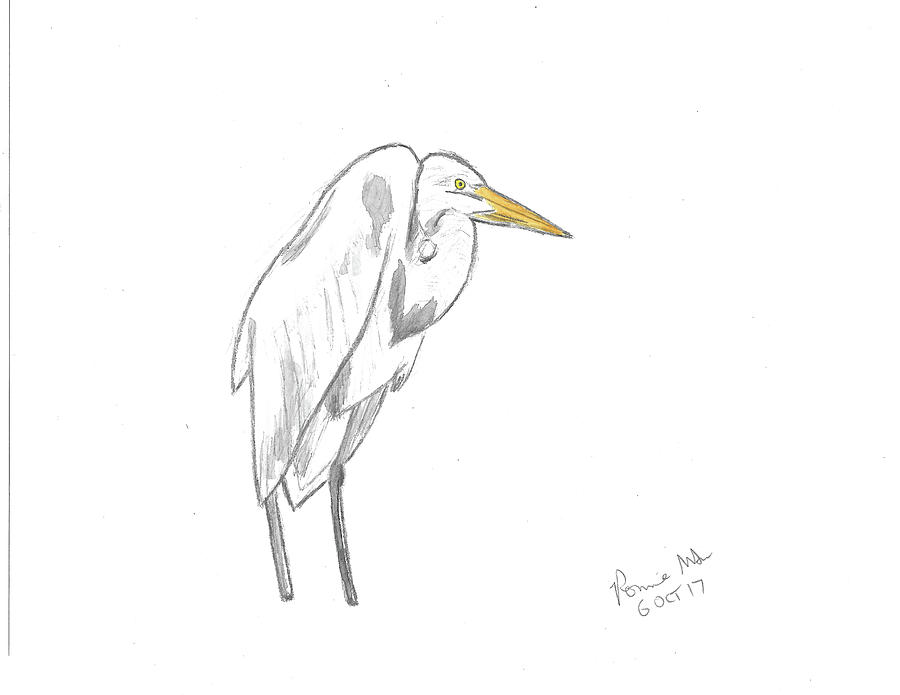Great Egret #1 Mixed Media by Ronnie Maum