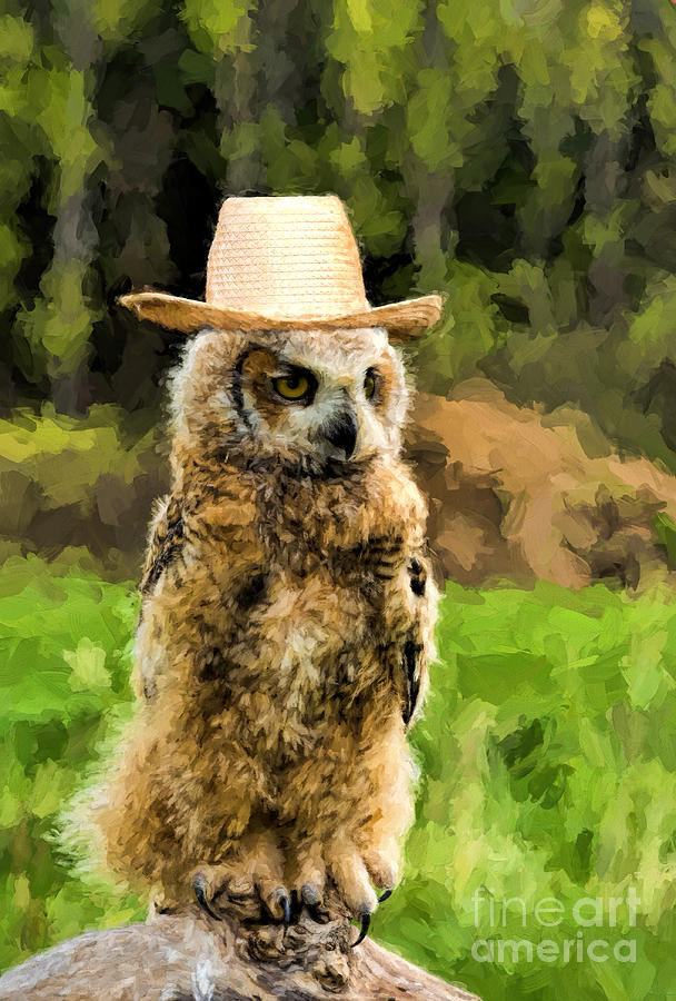 Great Horned Owl with a hat #1 Photograph by Les Palenik