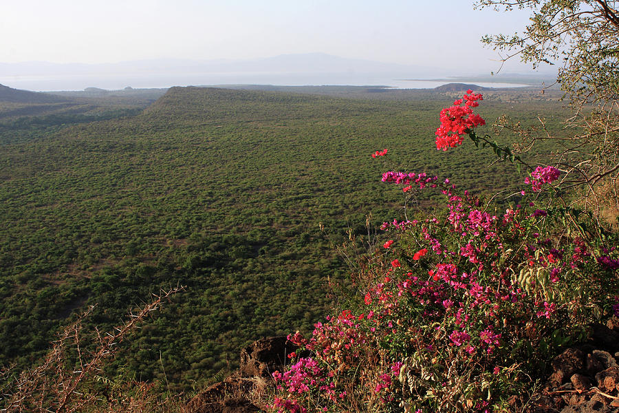 Great Rift Valley Ethiopia #1 Photograph by Aidan Moran