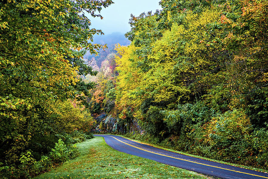   Great Smoky Mountains National Park  #1 Photograph by Alex Grichenko