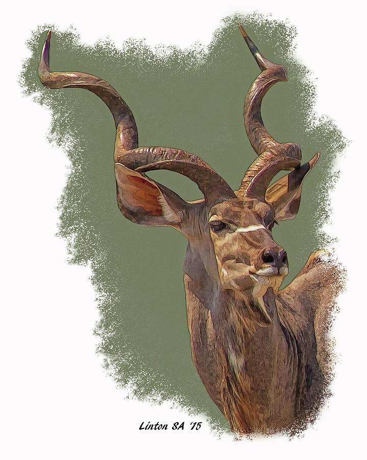 Greater Kudu #1 Digital Art by Larry Linton