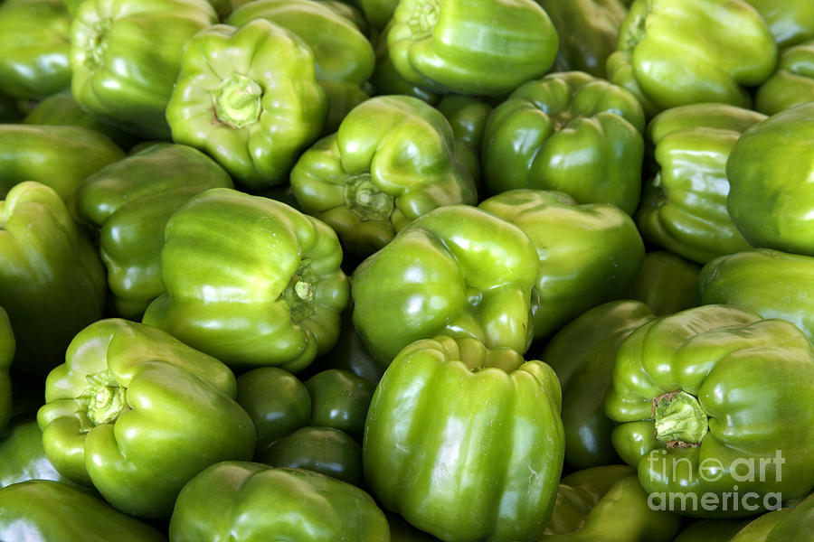 Green Bell Peppers Photograph by Inga Spence