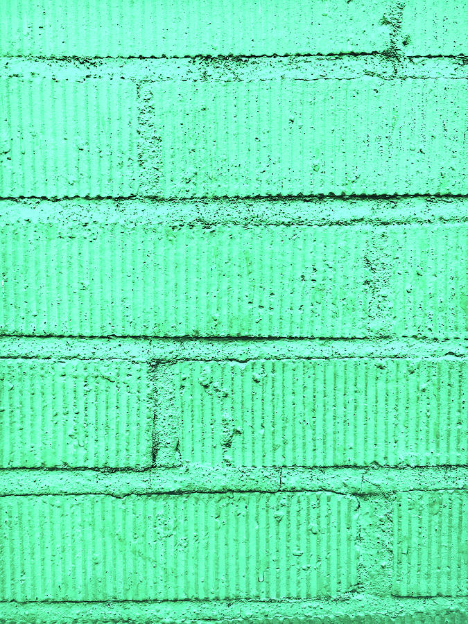 Green brick wall #1 Photograph by Tom Gowanlock