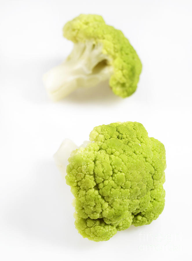 Green Cauliflower #1 Photograph by Gerard Lacz