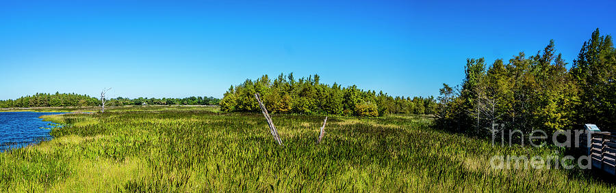 Green Cay Wetlands 2 Photograph