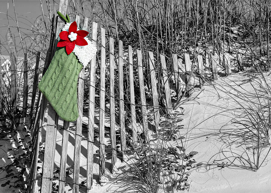 Green Christmas Stocking #1 Photograph by Lynn Jordan