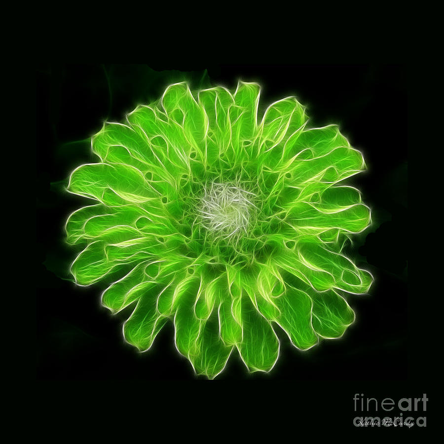 Green Envy Zinnia #1 Photograph by Kathie McCurdy
