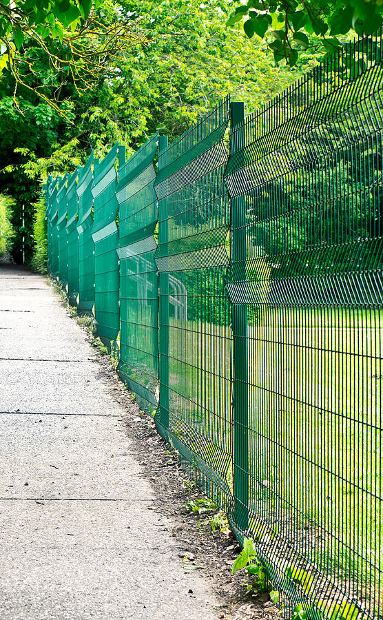 Green fence Photograph by Tom Gowanlock Pixels