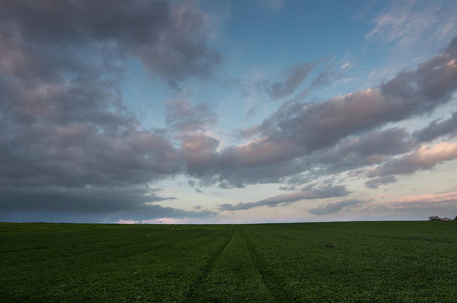 Green field and cloudy sky #1 Photograph by Michalakis Ppalis