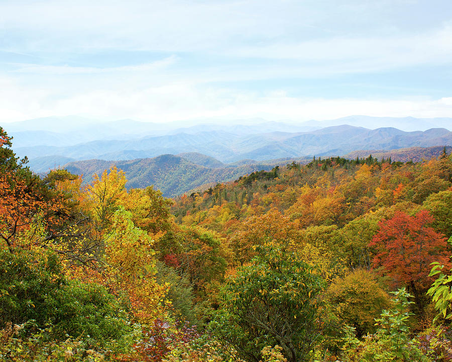 Green Knob Overlook View Photograph by Orange Cat Art - Fine Art America