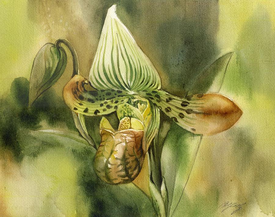 Green Orchid Painting - Green Ladyslipper Orchid #1 by Alfred Ng
