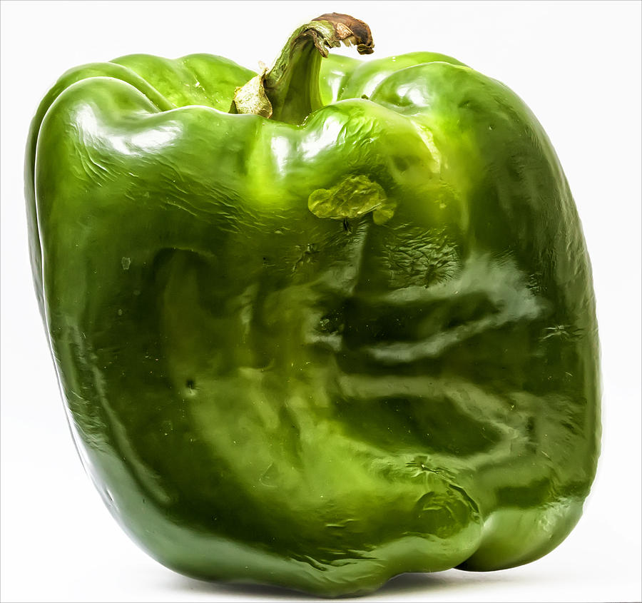 Green Pepper #1 Photograph by Robert Ullmann