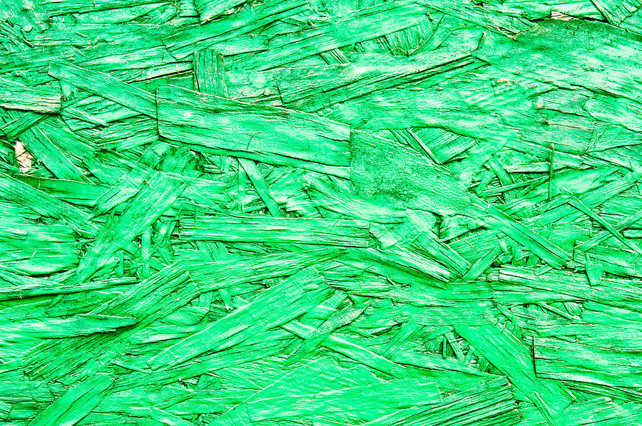 Abstract Photograph - Green plywood #1 by Tom Gowanlock