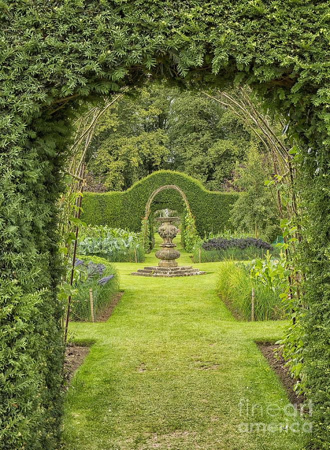 Green secret garden Photograph by Patricia Hofmeester