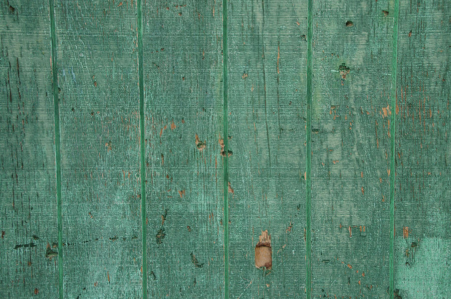 Green wall abstract #1 Photograph by Erik Burg