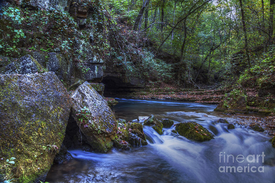 2014 Photograph - Greer Springs by Larry Braun 2014 Photograph - Greer Springs by Larry Braun