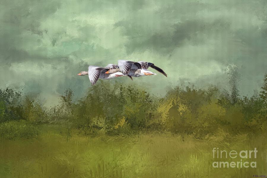 Bird Photograph - Grey Geese Flying #2 by Eva Lechner