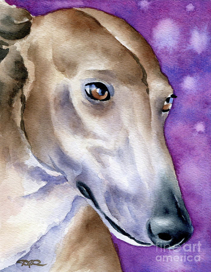 Portrait Painting - Greyhound #2 by David Rogers