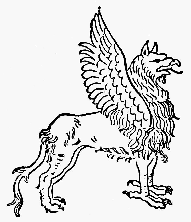 Griffin #4 Drawing by Granger