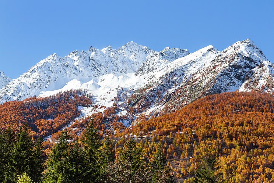Guisane Valley in Autumn - 2 - French Alps #1 Photograph by Paul MAURICE