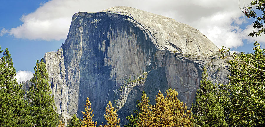 Half Dome #1 Photograph by Angie Schutt