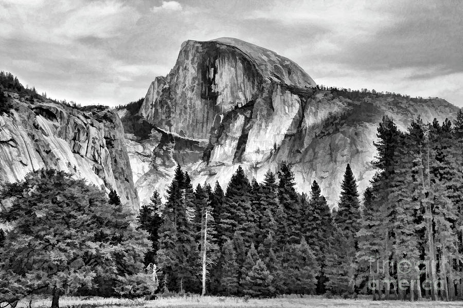 Half Dome Black White Yosemite  #1 Photograph by Chuck Kuhn