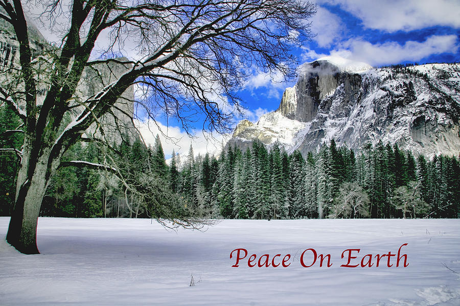 Yosemite National Park Photograph - Half Dome In The Snow #1 by Her Arts Desire