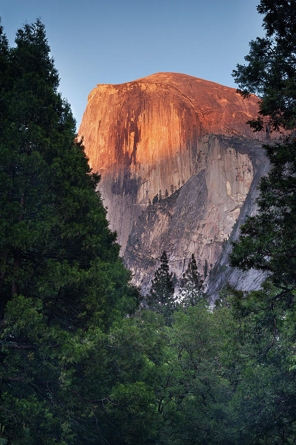 Yosemite National Park Photograph - Half Dome Sunset by Niall Whelan