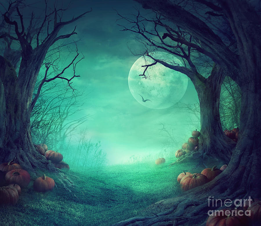 Halloween Spooky Forest Digital Art By Mythja Photography My Xxx Hot Girl