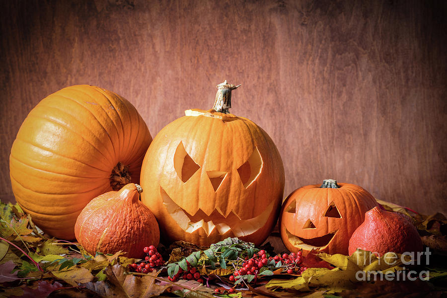 Halloween pumpkins, carved jack-o-lantern in fall leaves #1 Photograph by Michal Bednarek