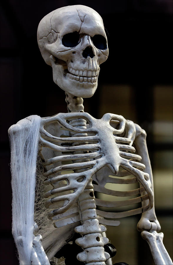 Halloween Skeleton Decoration #1 Photograph by Robert Ullmann