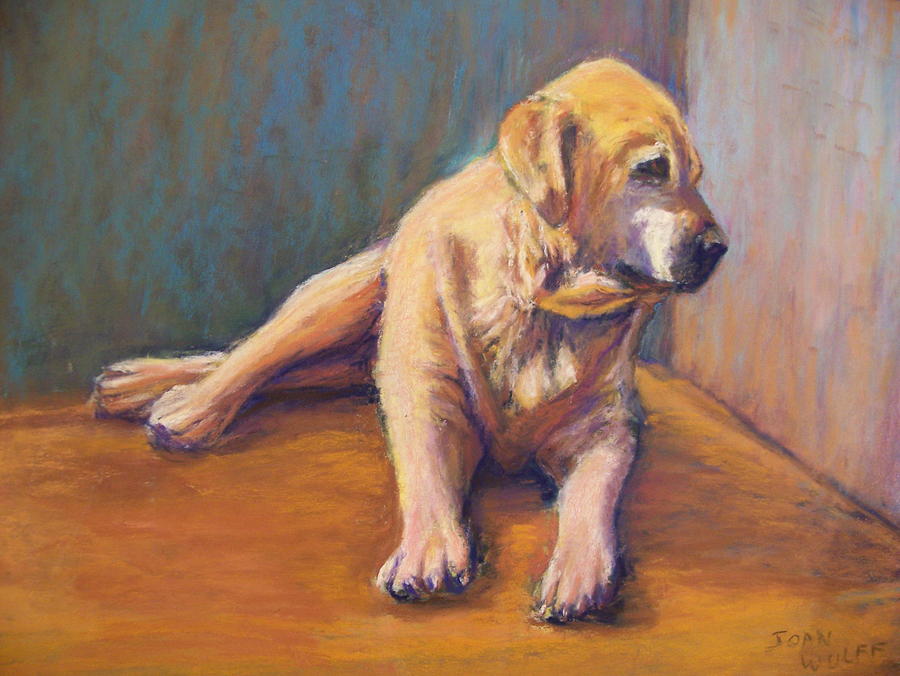 Dog Pastel - Hammer #1 by Joan Wulff