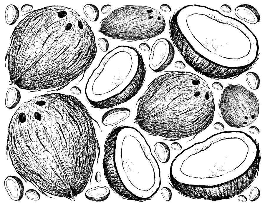 Juice Drawing - Hand Drawn Background of Fresh Coconut Fruits #2 by Iam Nee
