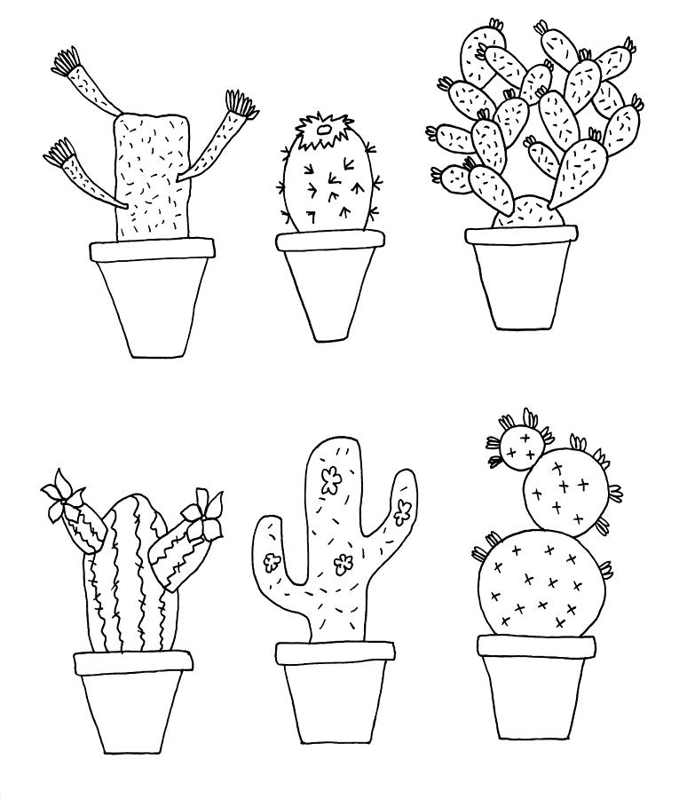 Hand drawn illustration of whimsical cartoon style cactus plants Photograph  by Matthew Gibson - Fine Art America