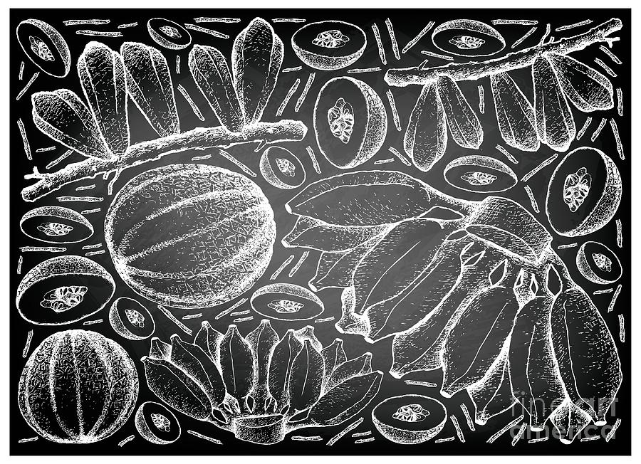 Hand Drawn of Fresh Fruits on Chalkboard Background Drawing by Iam Nee ...