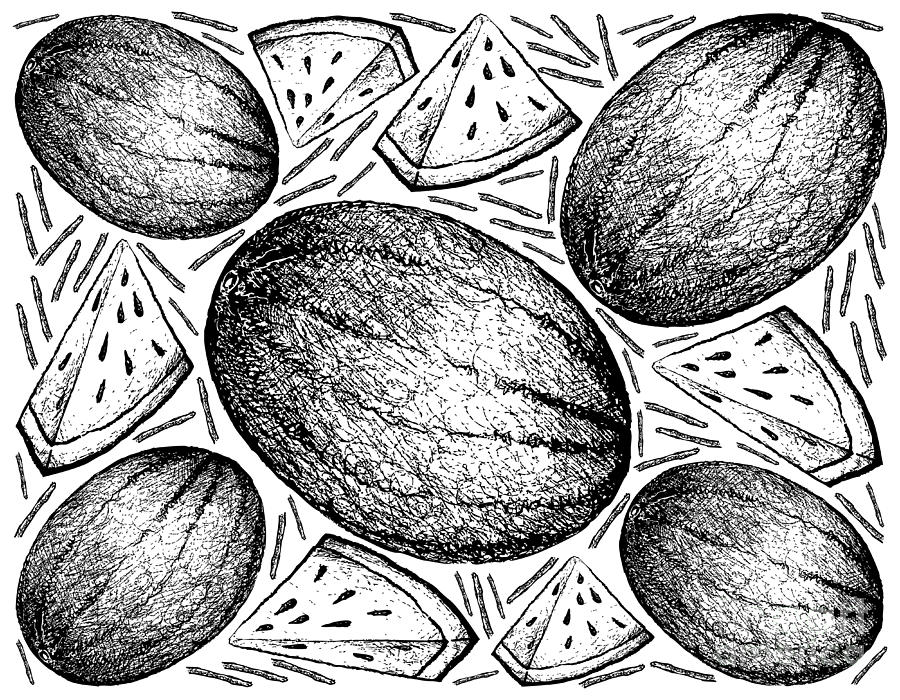 Hand Drawn of Fresh Watermelon on White Background Drawing by Iam Nee