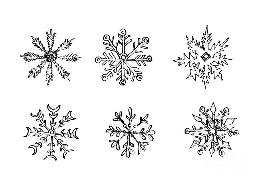Hand Drawn Row of Various Christmas Snowflake Drawing by Iam Nee Fine
