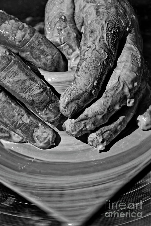 Hands Of A Master #1 Photograph by Skip Willits