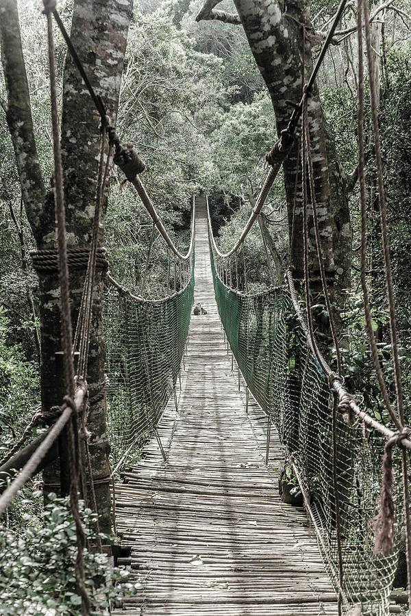 Hanging bridge #1 Photograph by Alexey Stiop