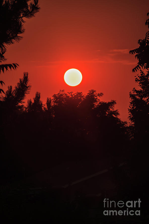 Hanging Sun #1 Photograph by Robert Bales