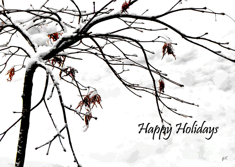 Happy Holidays #1 Photograph by Gerlinde Keating