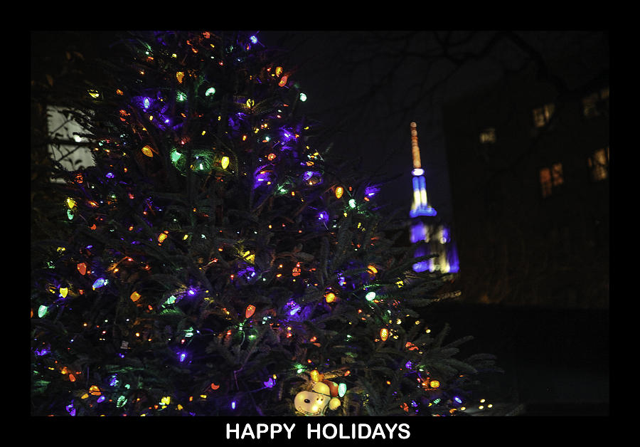 Happy Holidays #1 Photograph by Madeline Ellis